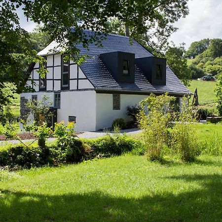 Michels Muehle - Wieder Land Sehen Brilon Exteriér fotografie